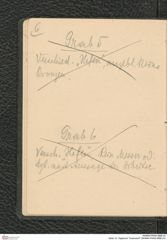 Seite 10, Tagebuch "Inzersdorf" (NHMW-PRAE-BBB-24)